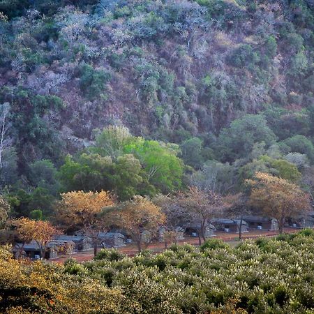 Lions Rock Rapids - Luxury Tented Camp Hazyview Extérieur photo