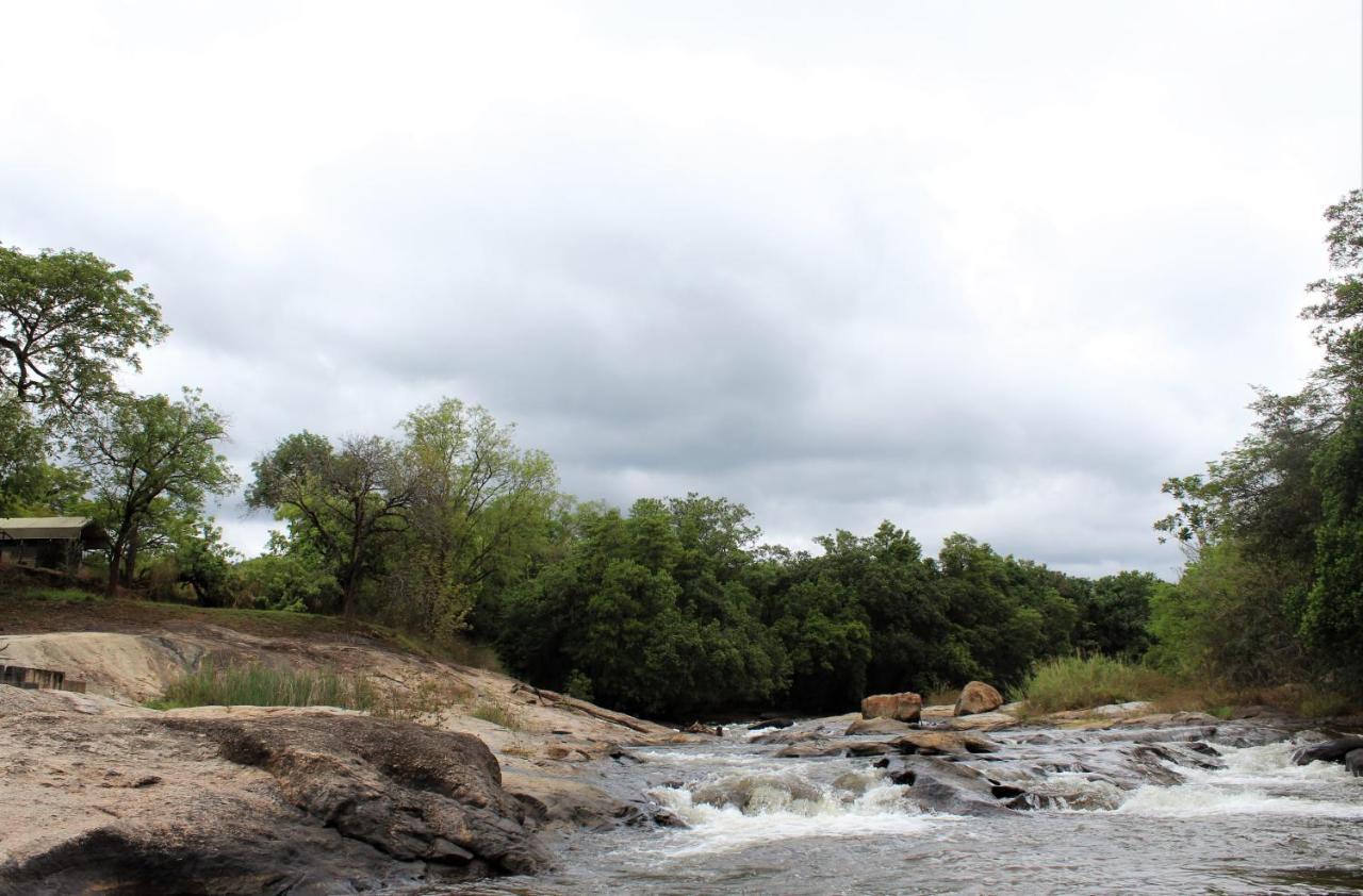 Lions Rock Rapids - Luxury Tented Camp Hazyview Extérieur photo