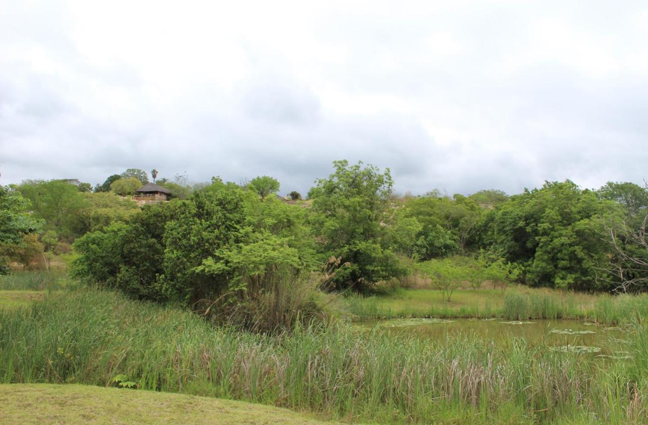 Lions Rock Rapids - Luxury Tented Camp Hazyview Extérieur photo