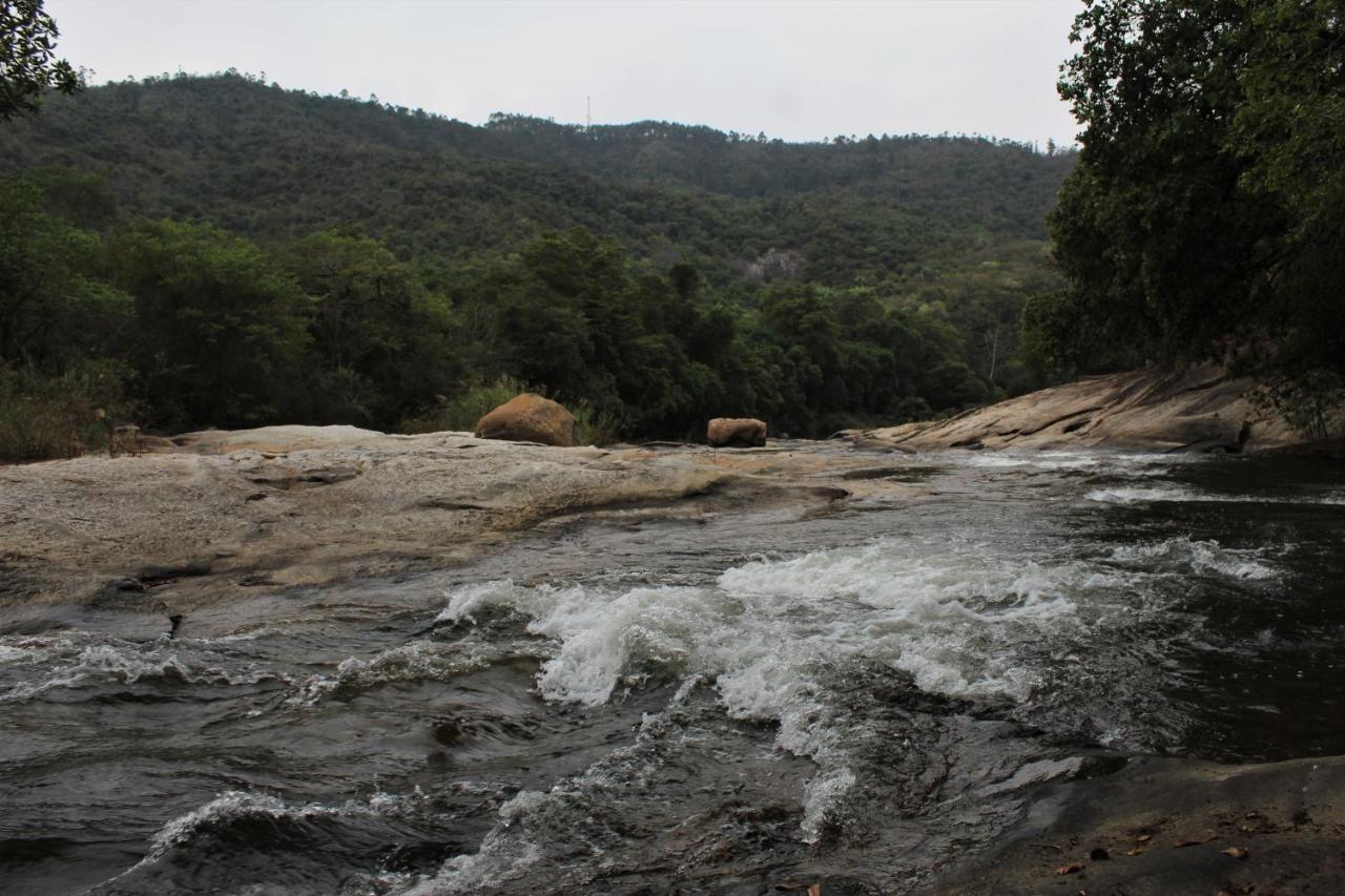Lions Rock Rapids - Luxury Tented Camp Hazyview Extérieur photo