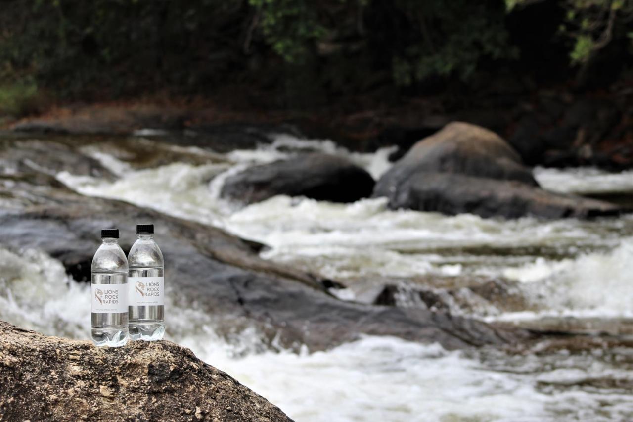 Lions Rock Rapids - Luxury Tented Camp Hazyview Extérieur photo