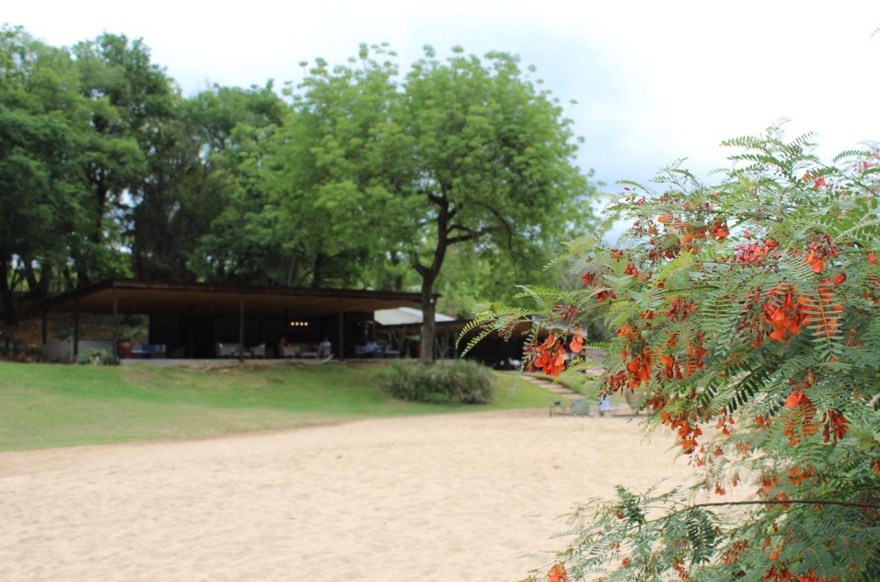 Lions Rock Rapids - Luxury Tented Camp Hazyview Extérieur photo