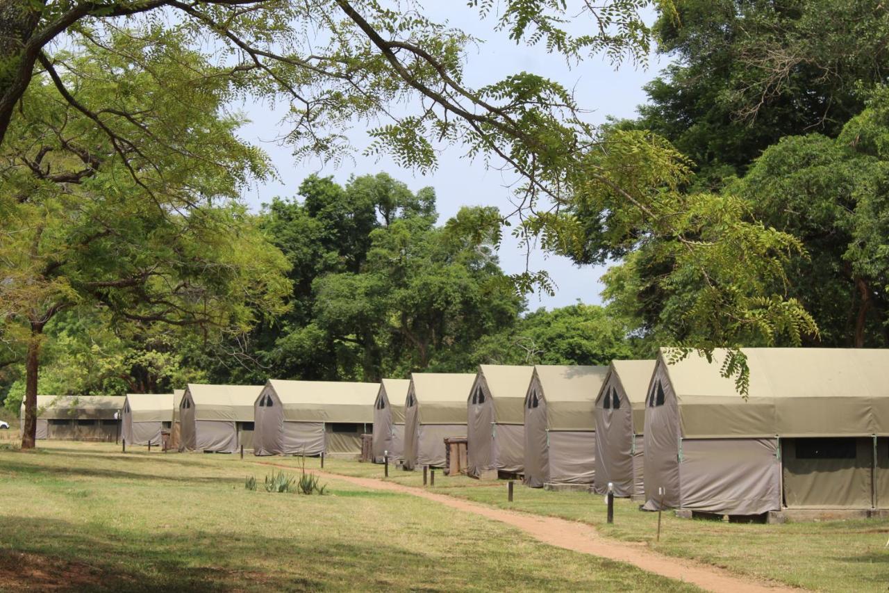 Lions Rock Rapids - Luxury Tented Camp Hazyview Extérieur photo
