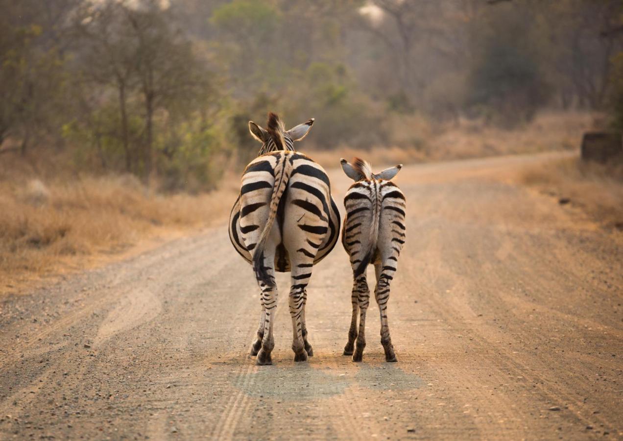 Lions Rock Rapids - Luxury Tented Camp Hazyview Extérieur photo