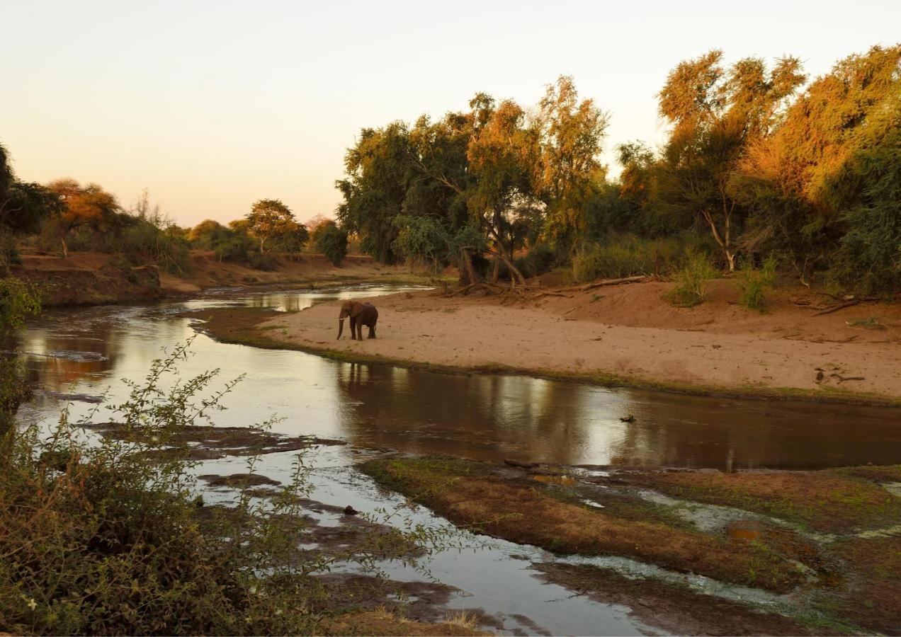 Lions Rock Rapids - Luxury Tented Camp Hazyview Extérieur photo